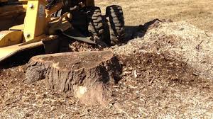 Tree Stump Grinding